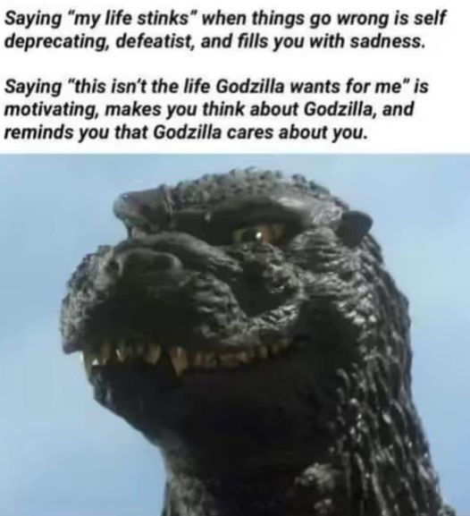 1722368822257.jpeg