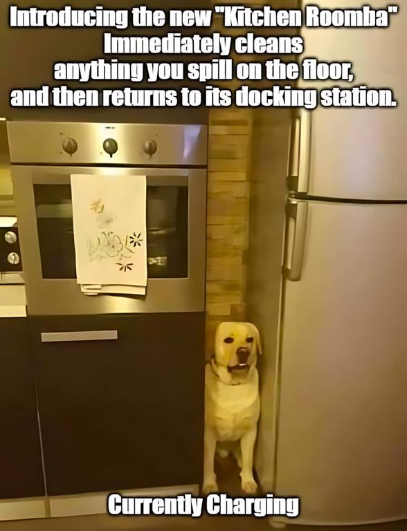 1729269716356.png