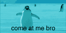 1730324520404.png