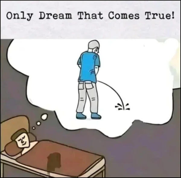 1732286630818.jpeg