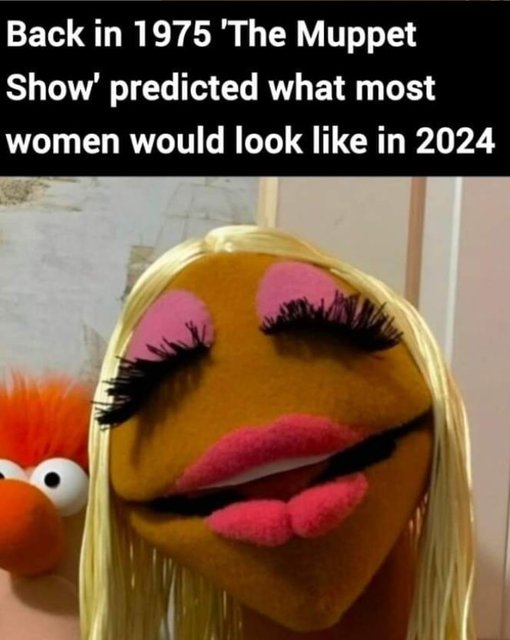 1732339558519.jpeg