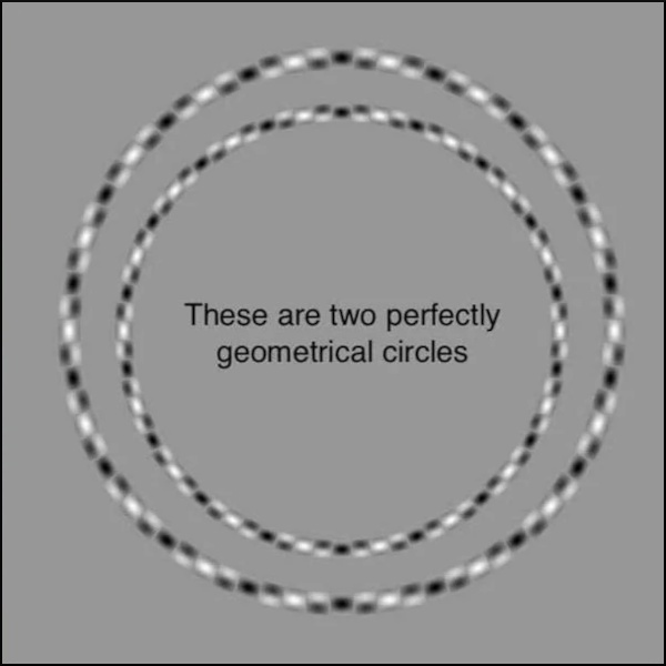 1733508829354.jpeg