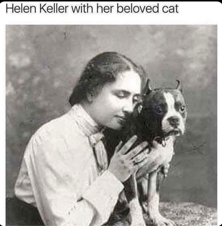 1733589794750.png