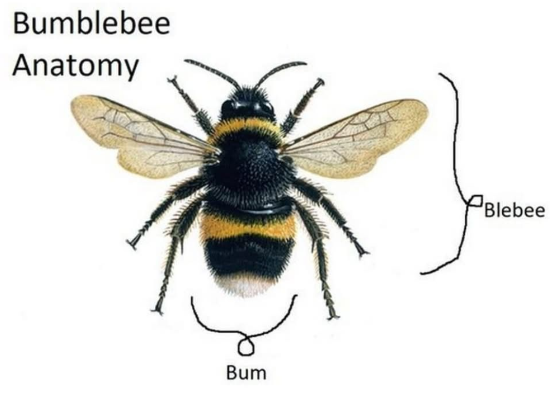 1736428591083.png
