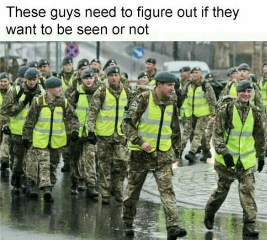 1737745045808.jpeg