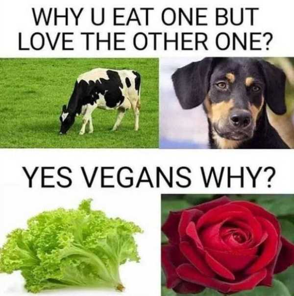 1742486696262.png