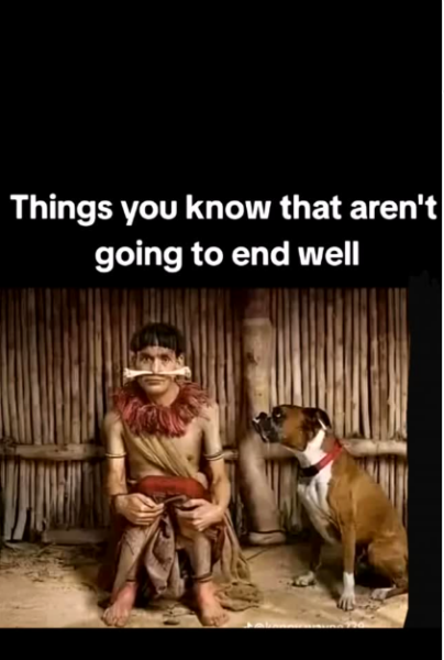 1746199704435.png