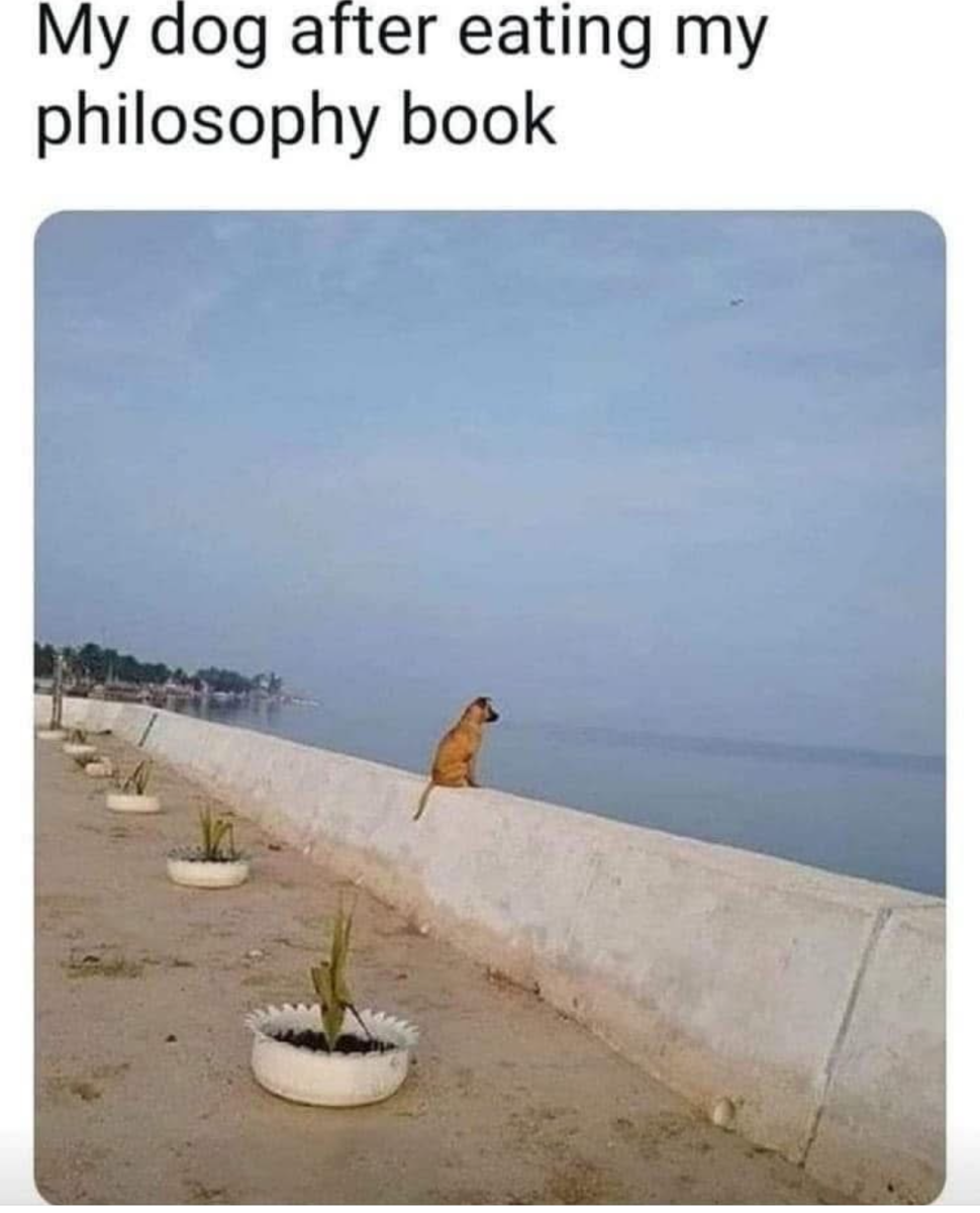 1750107577430.png