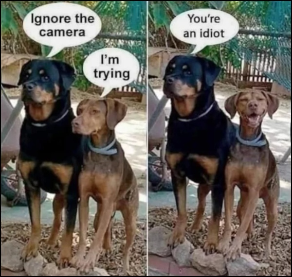 1750442037950.jpeg