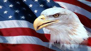 American flag bald eagle patriotic ...