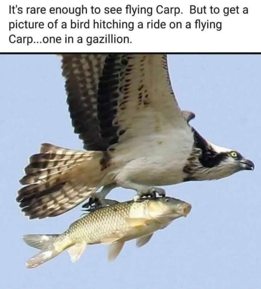 1752678965542.png