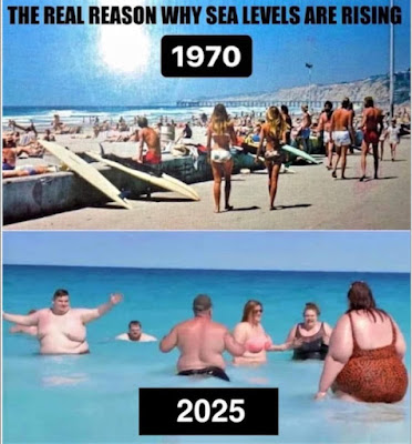 1754052630109.jpeg