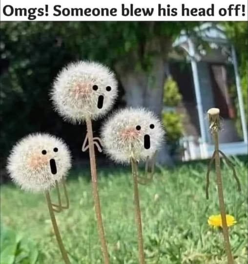 1754225157859.jpeg