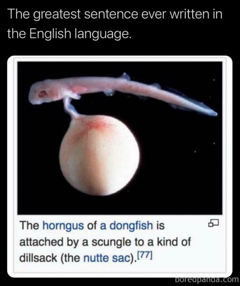 1754260810699.png