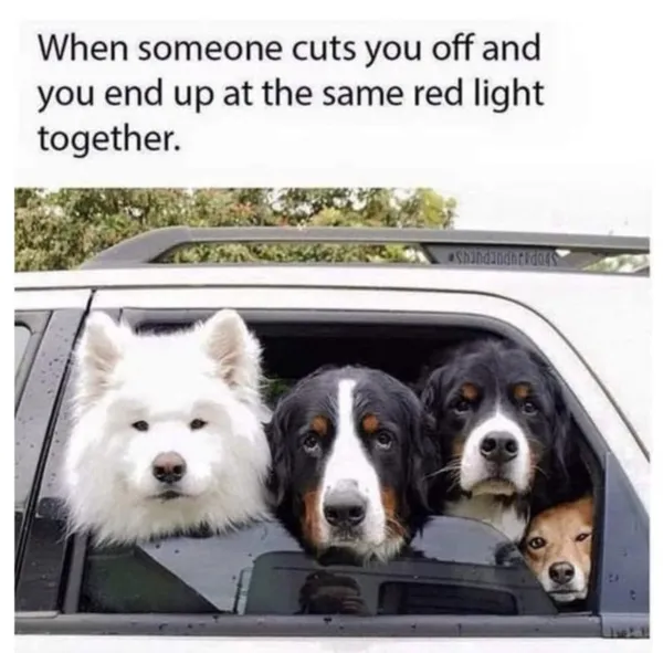 1756841864342.png