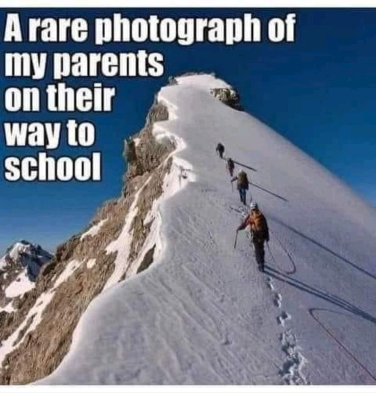 1757627866016.png