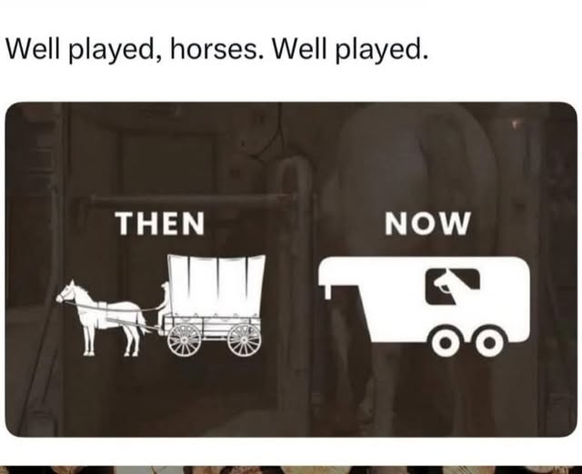 1759581341423.jpeg