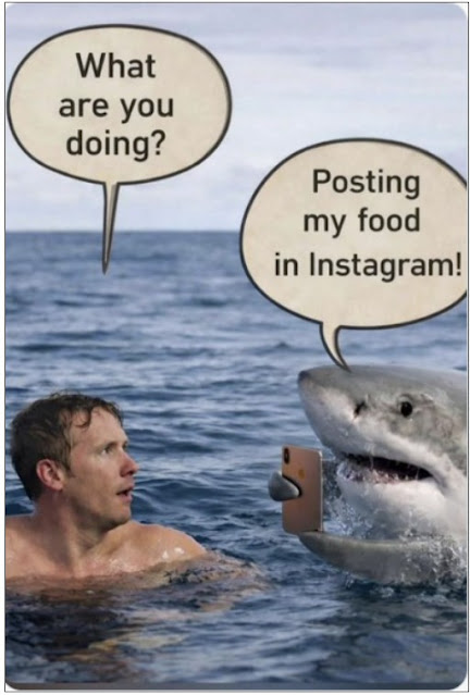 1778256180464.png