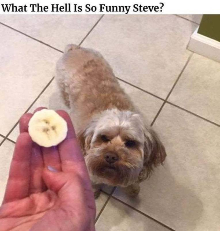 1778688776029.png