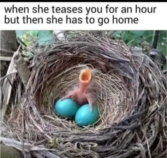 1778689680177.png