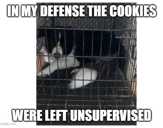 1778779802584.png