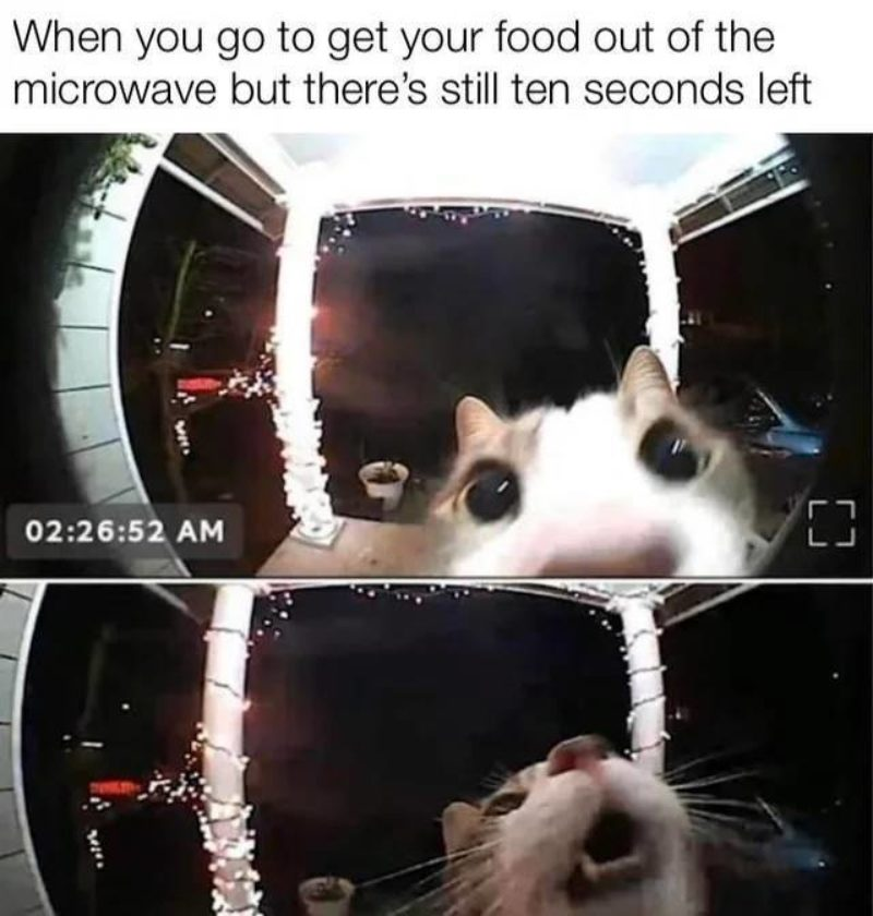 1779443848466.png
