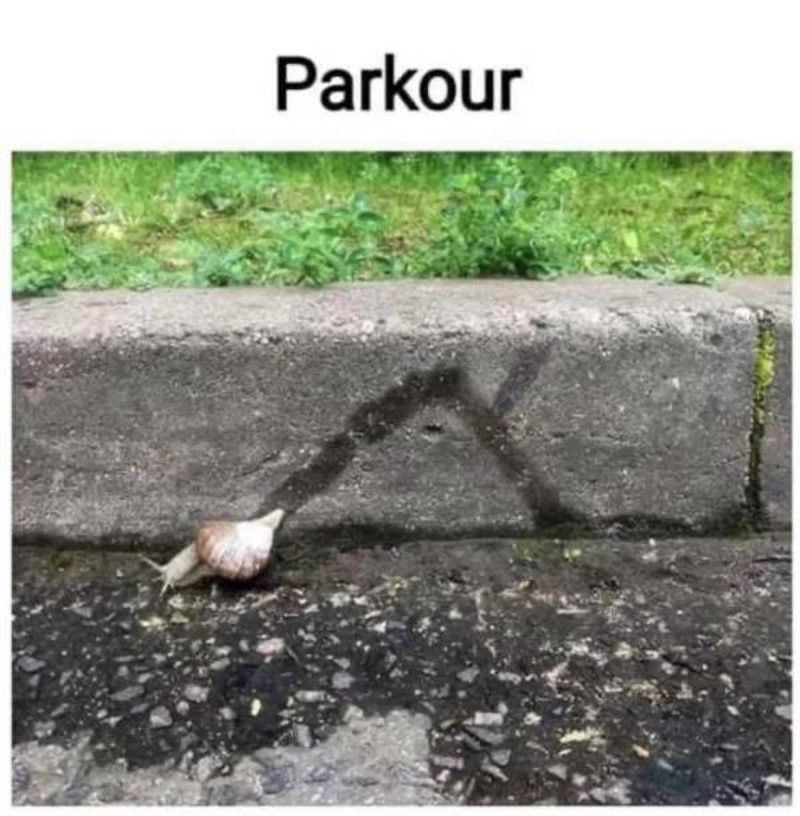 1779444059631.png