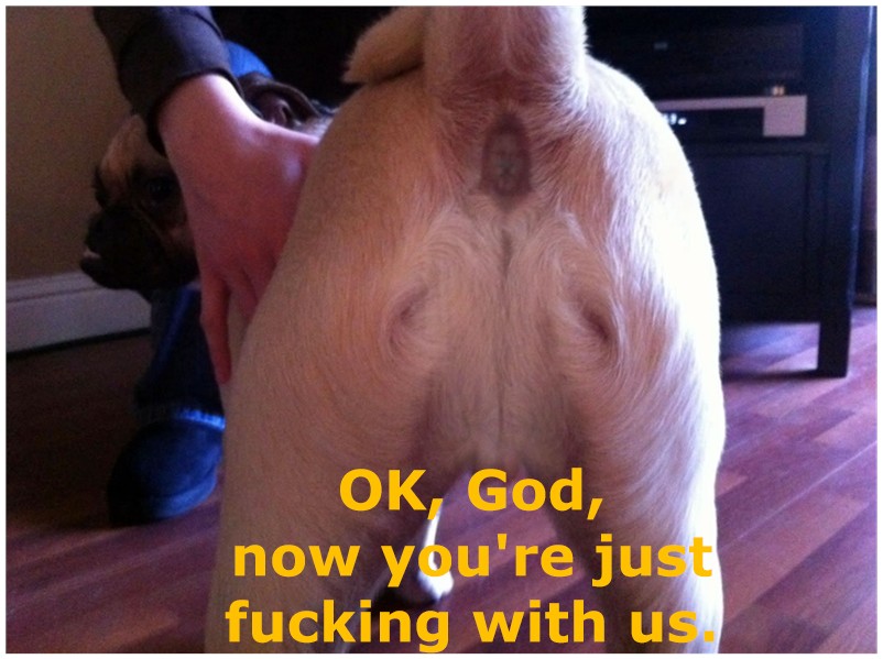1779996267322.jpeg