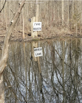 1782929363259.png