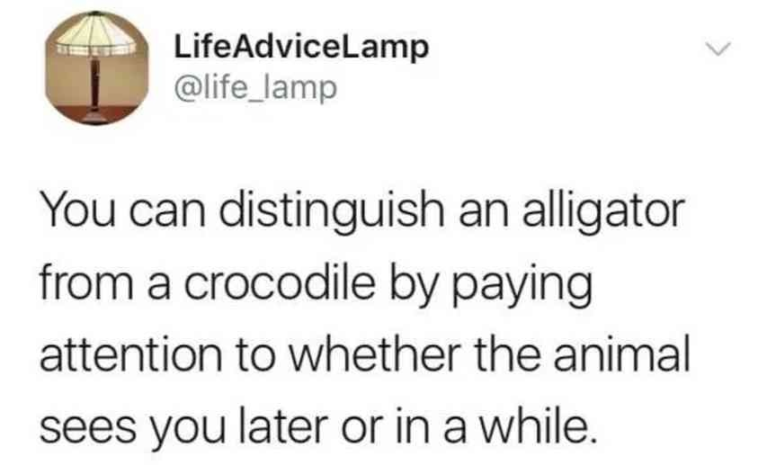 1783683883919.png