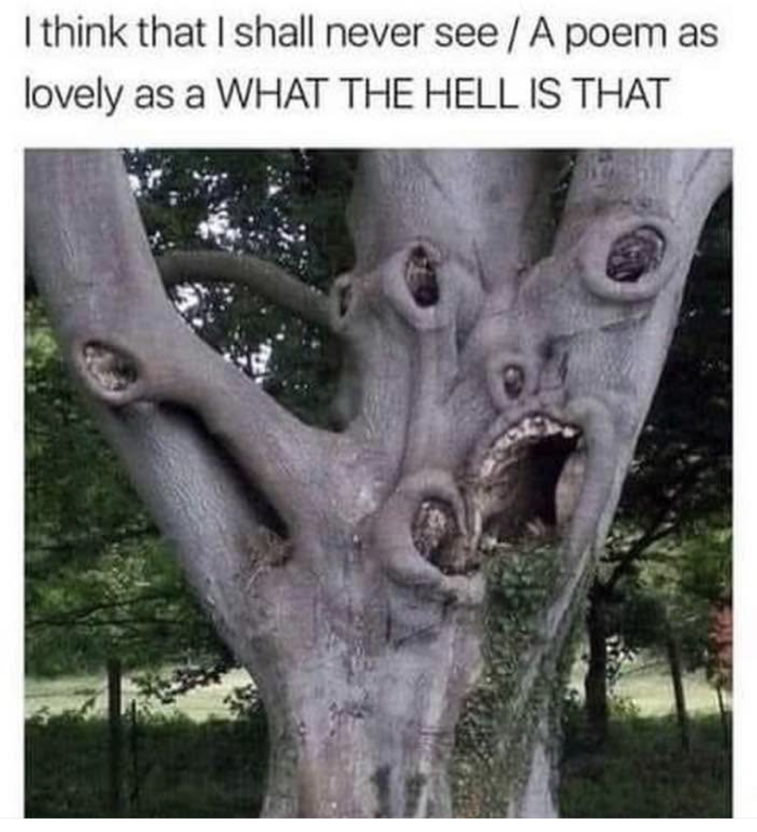 1785946113451.png