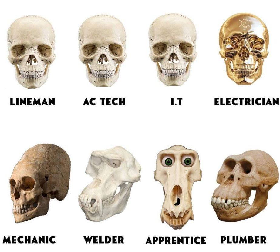 1786243046283.png