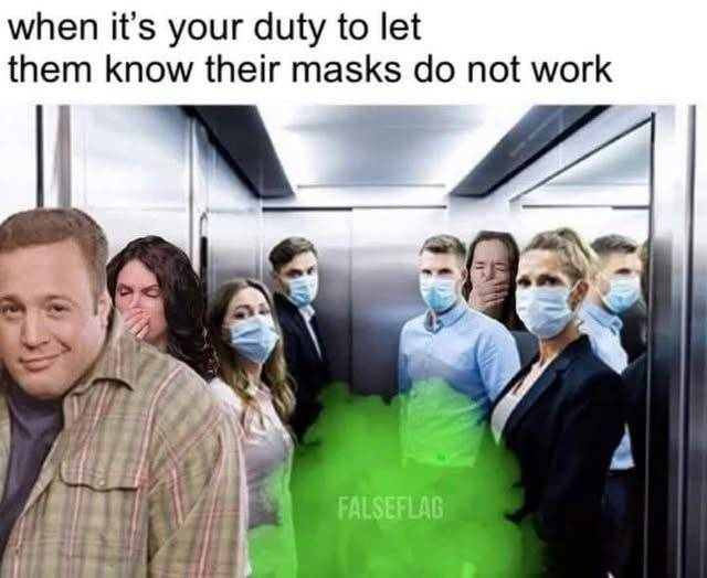 1786290842023.png