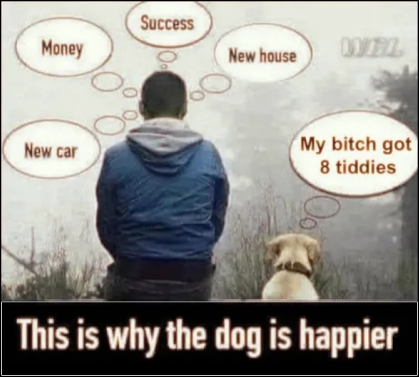 1788534118070.png