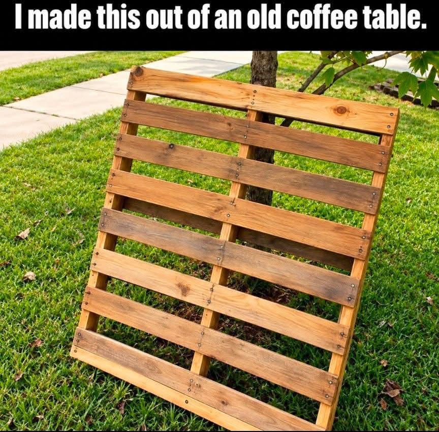 1790370369373.jpeg