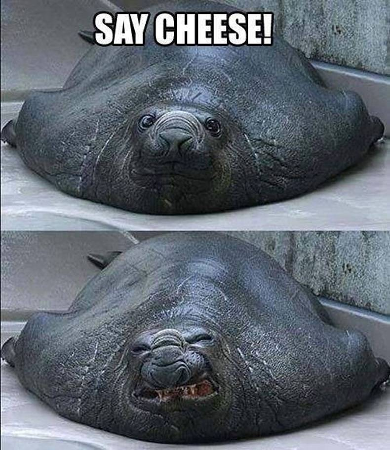 1790948558715.png