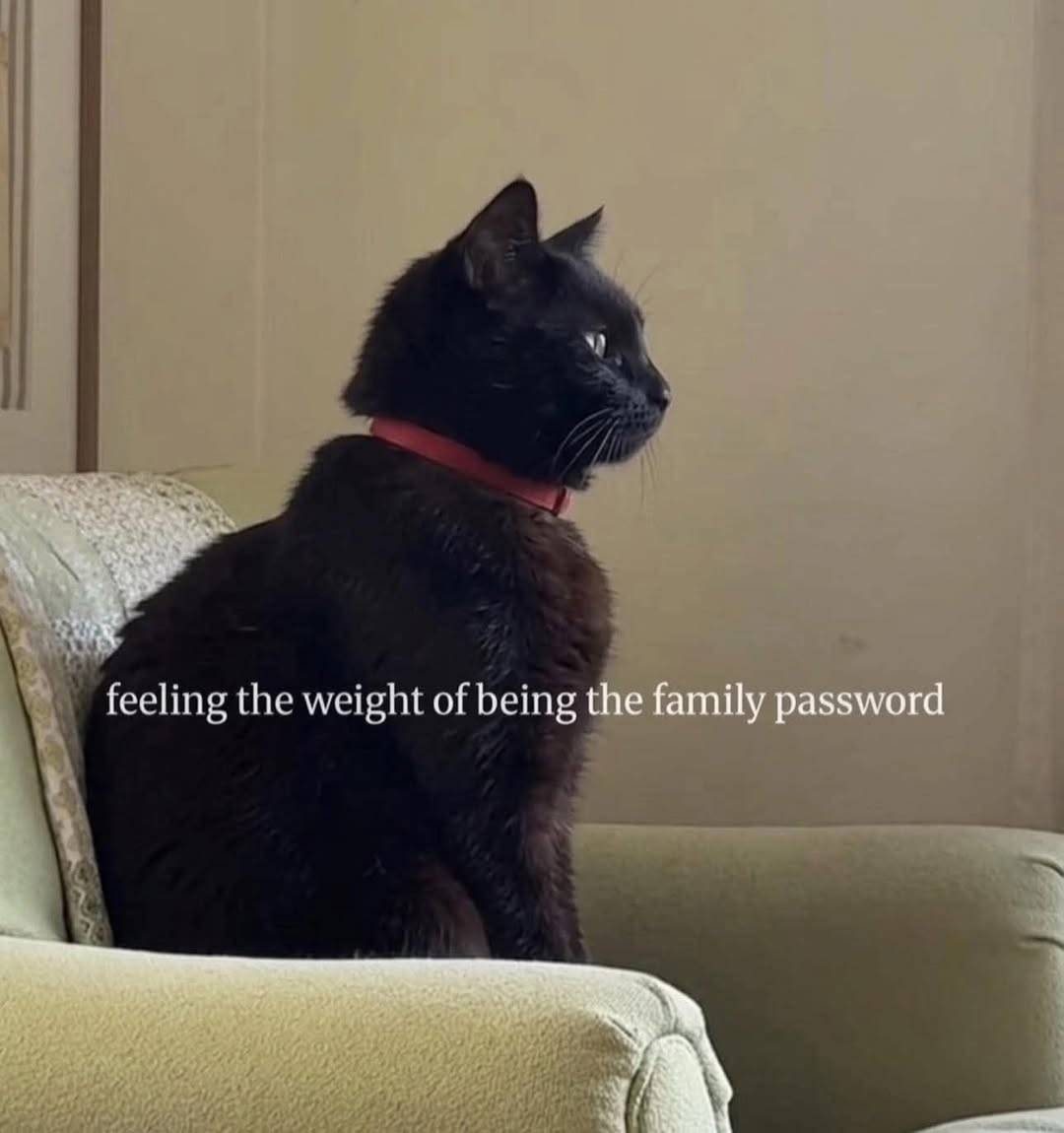 1791146424502.png