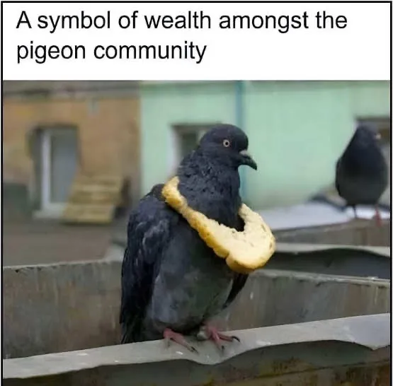 1791551781210.png