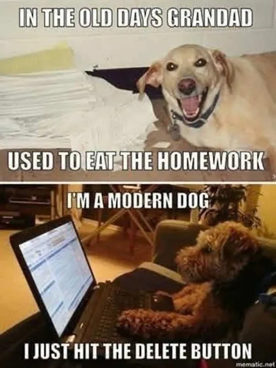 1792772553313.png