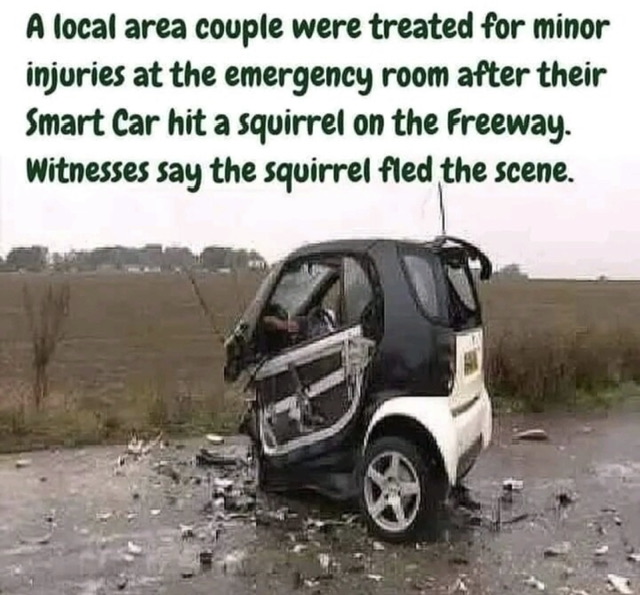1ACC0174-6A70-4220-8E4E-389CFC47FC47.jpeg