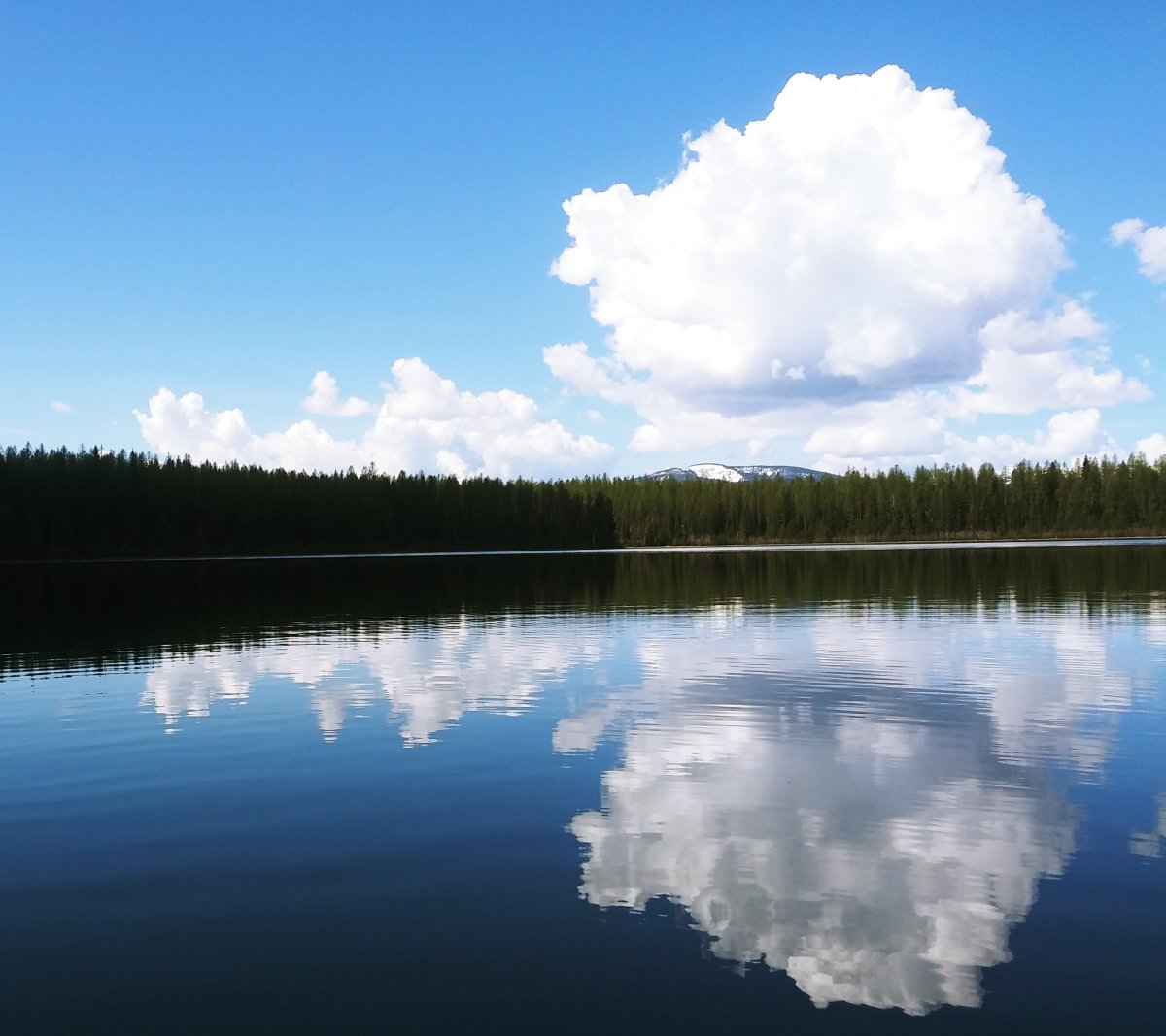 20210514_110017~2.jpg 20210514_110017~2.jpg