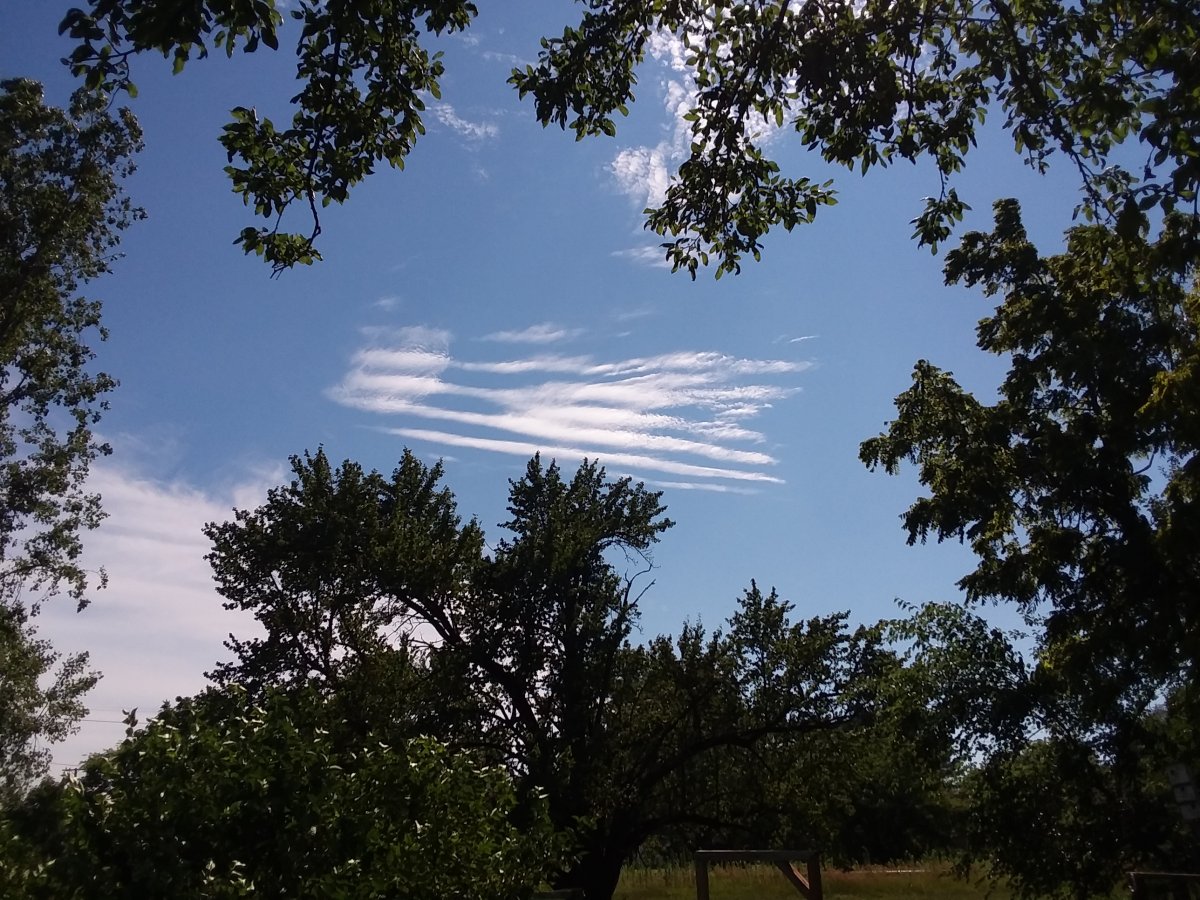 20220709_162430.jpg