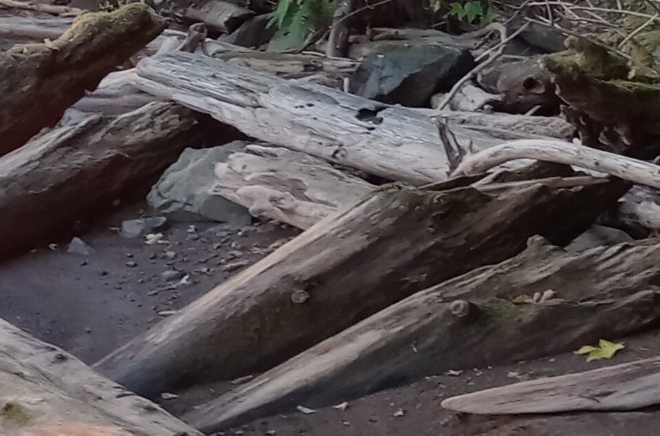 20230826_064821~2.jpg