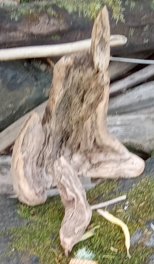 20230826_072249.jpg