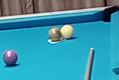 20230907_075910.jpg