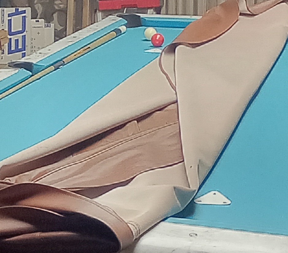 20230929_065833.jpg