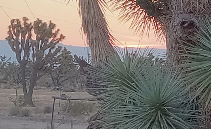 20240614_052805.jpg