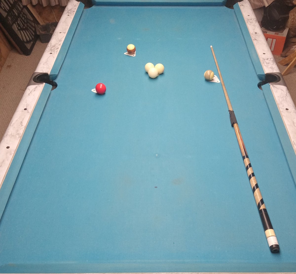 20241104_064931.jpg