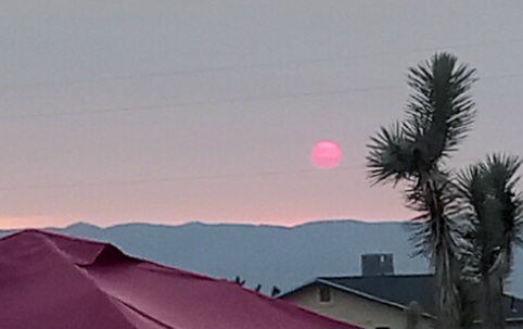 20250712_054739.jpg