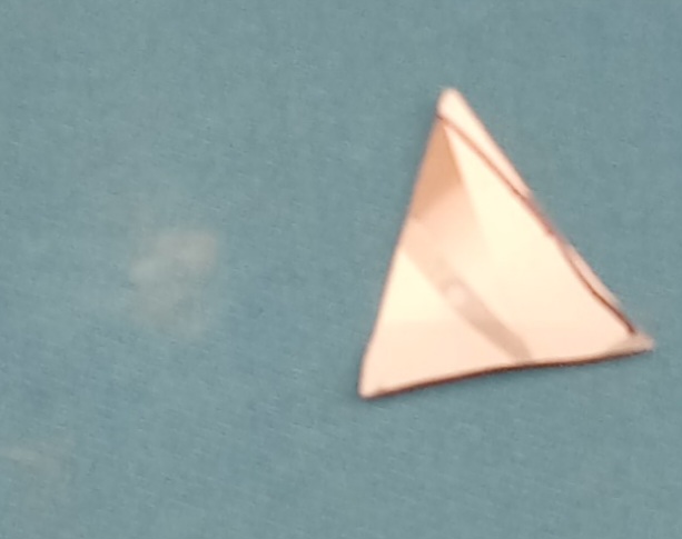 20250829_072115.jpg